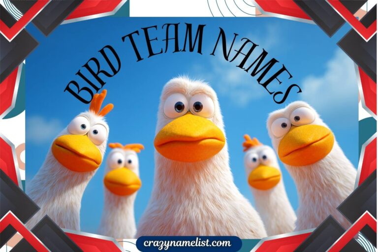 bird team names