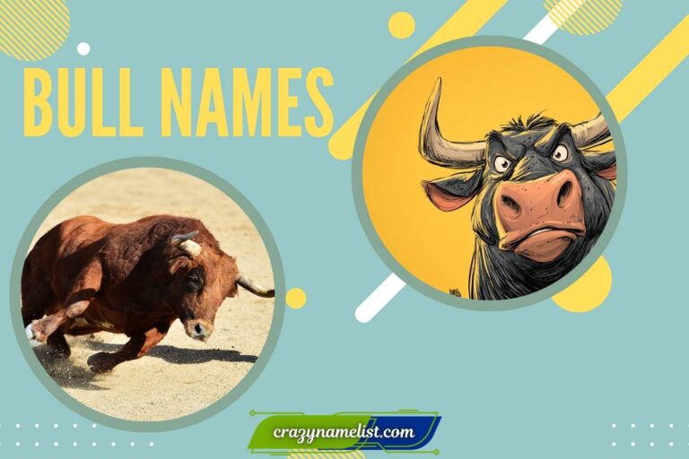bull names