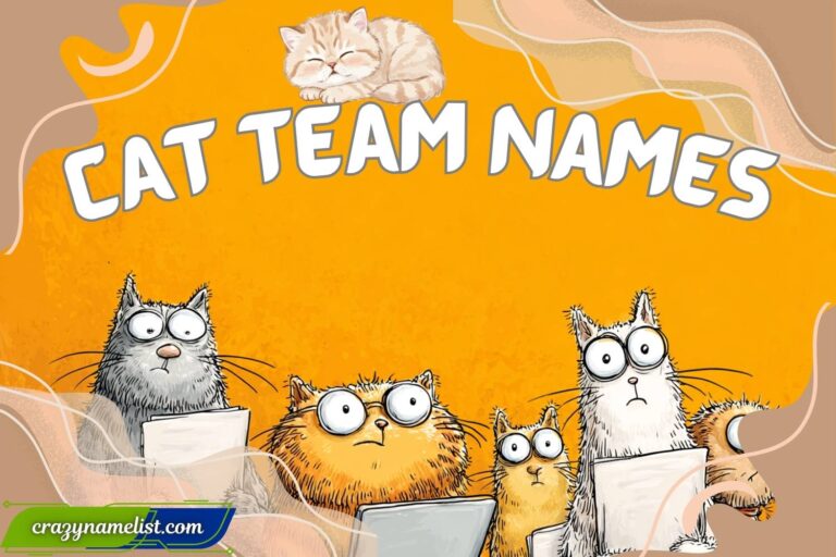 cat team names