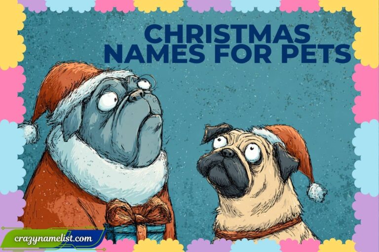 christmas names for pets
