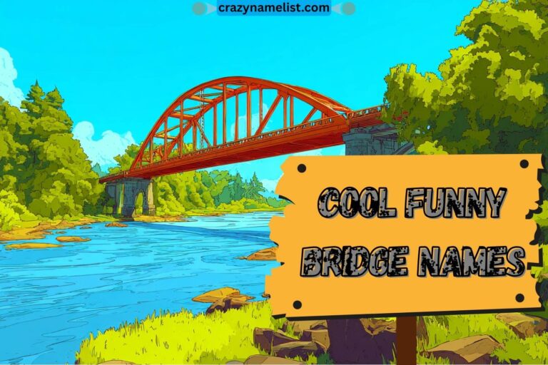 cool funny bridge names