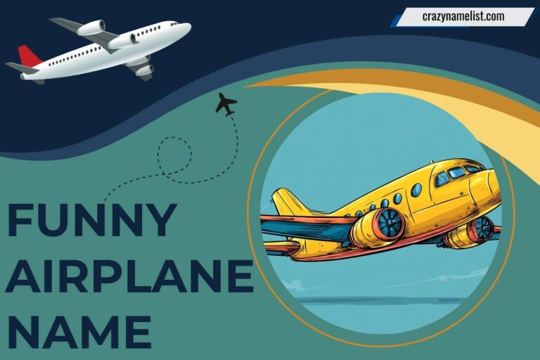 funny airplane name