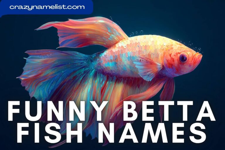 funny betta fish names