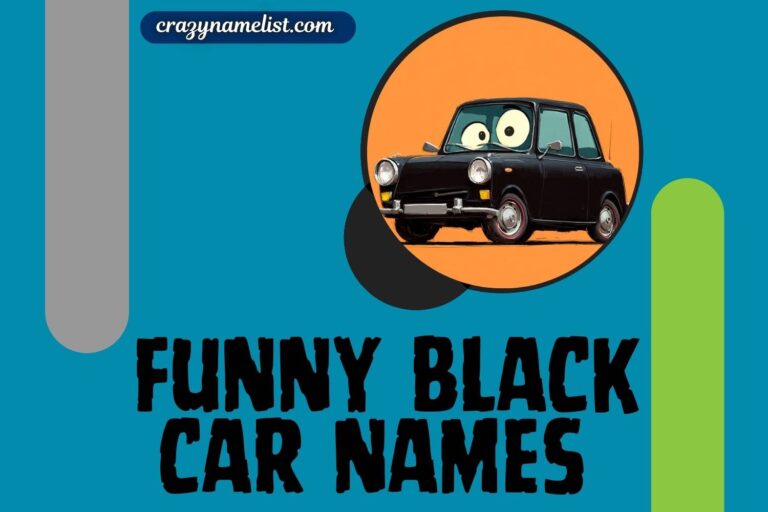 funny black car names