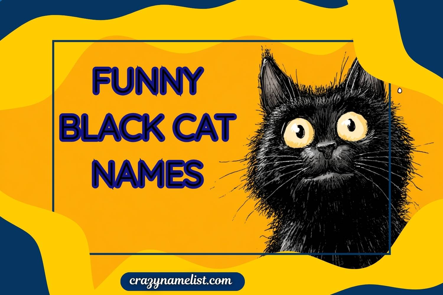 funny black cat names