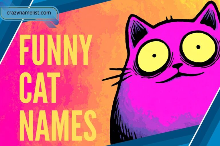 funny cat names