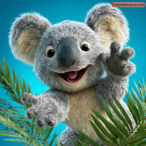 Cute and Funny Koala Names
