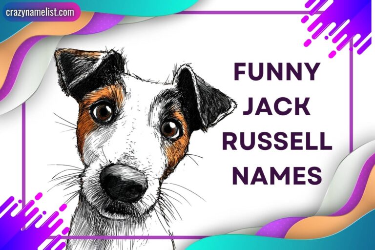 funny jack russell names