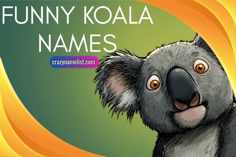 funny koala names