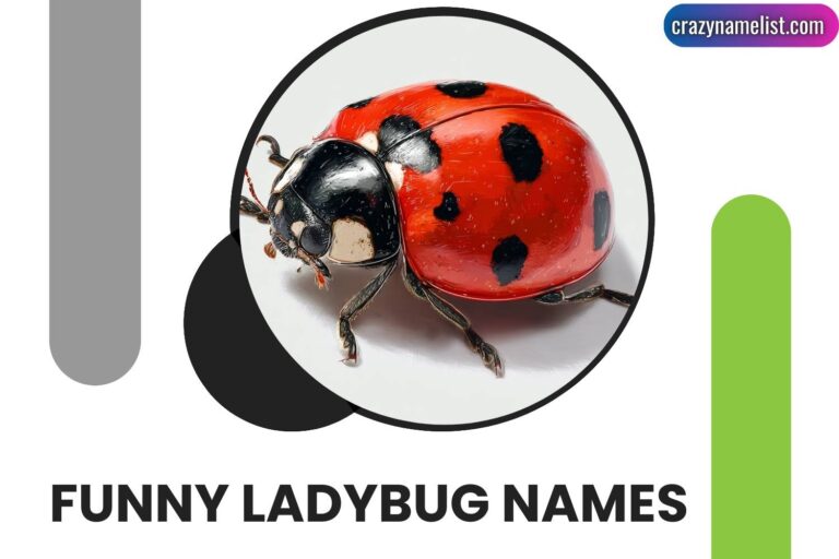 funny ladybug names