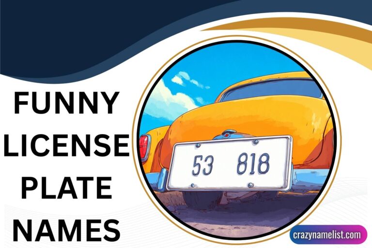 funny license plate names