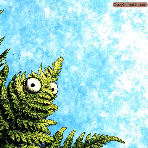 Creative Names for Your Ferns