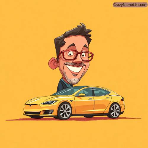 Cute Names for Your Tesla