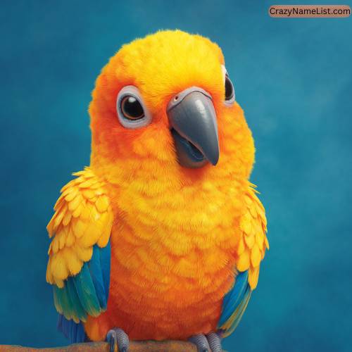 Cute and Funny Parrot Names