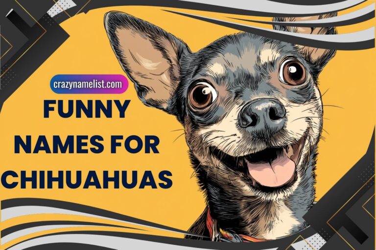funny names for chihuahuas