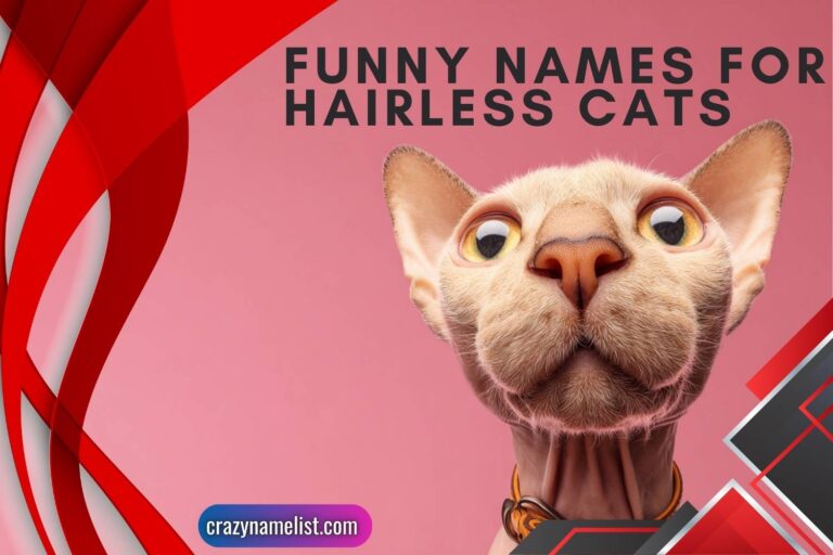 funny names for hairless cats
