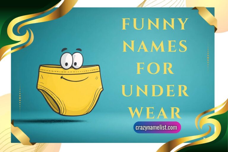 funny names for underwear