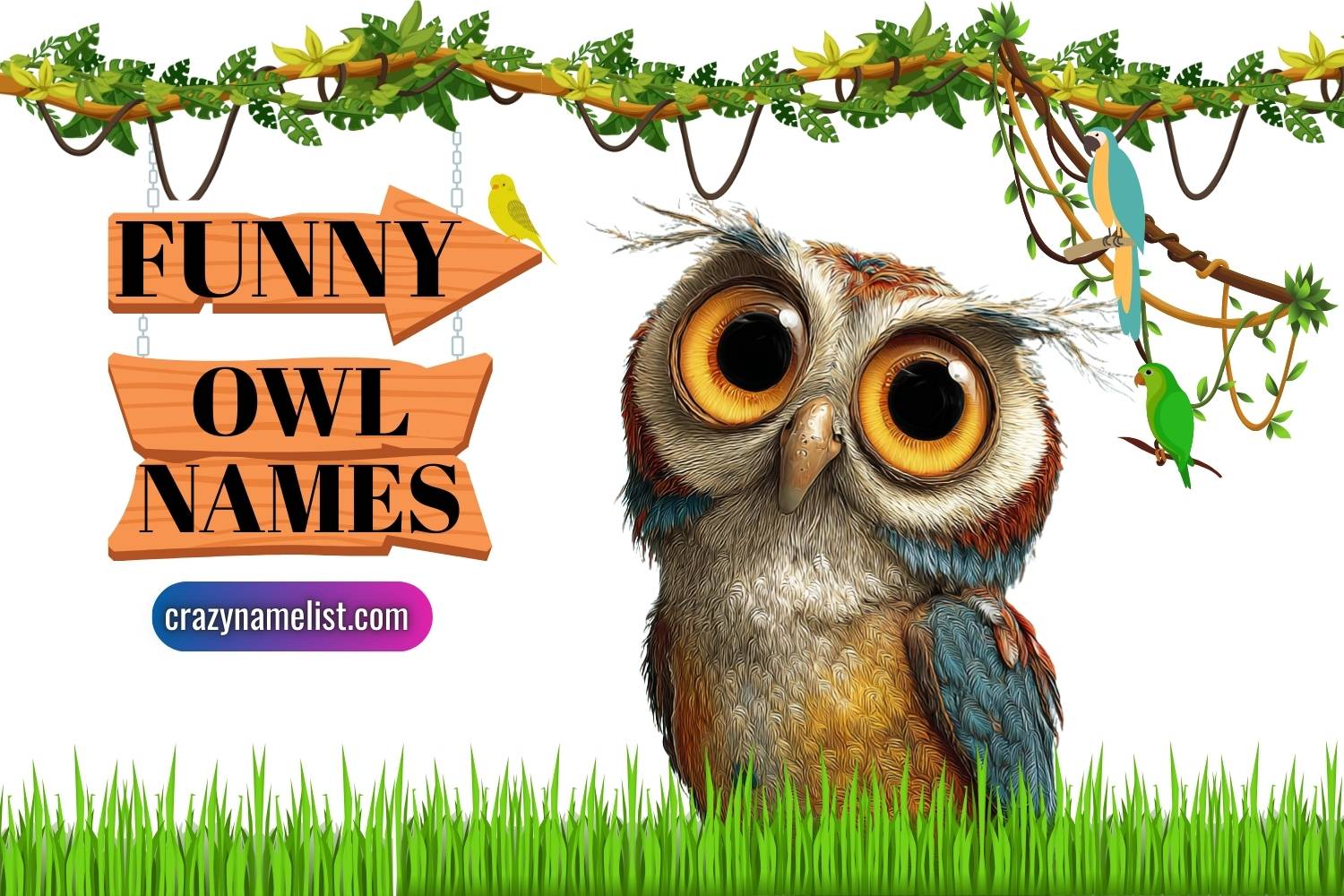 funny owl names
