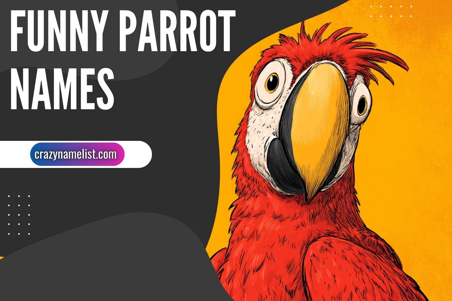 funny parrot names