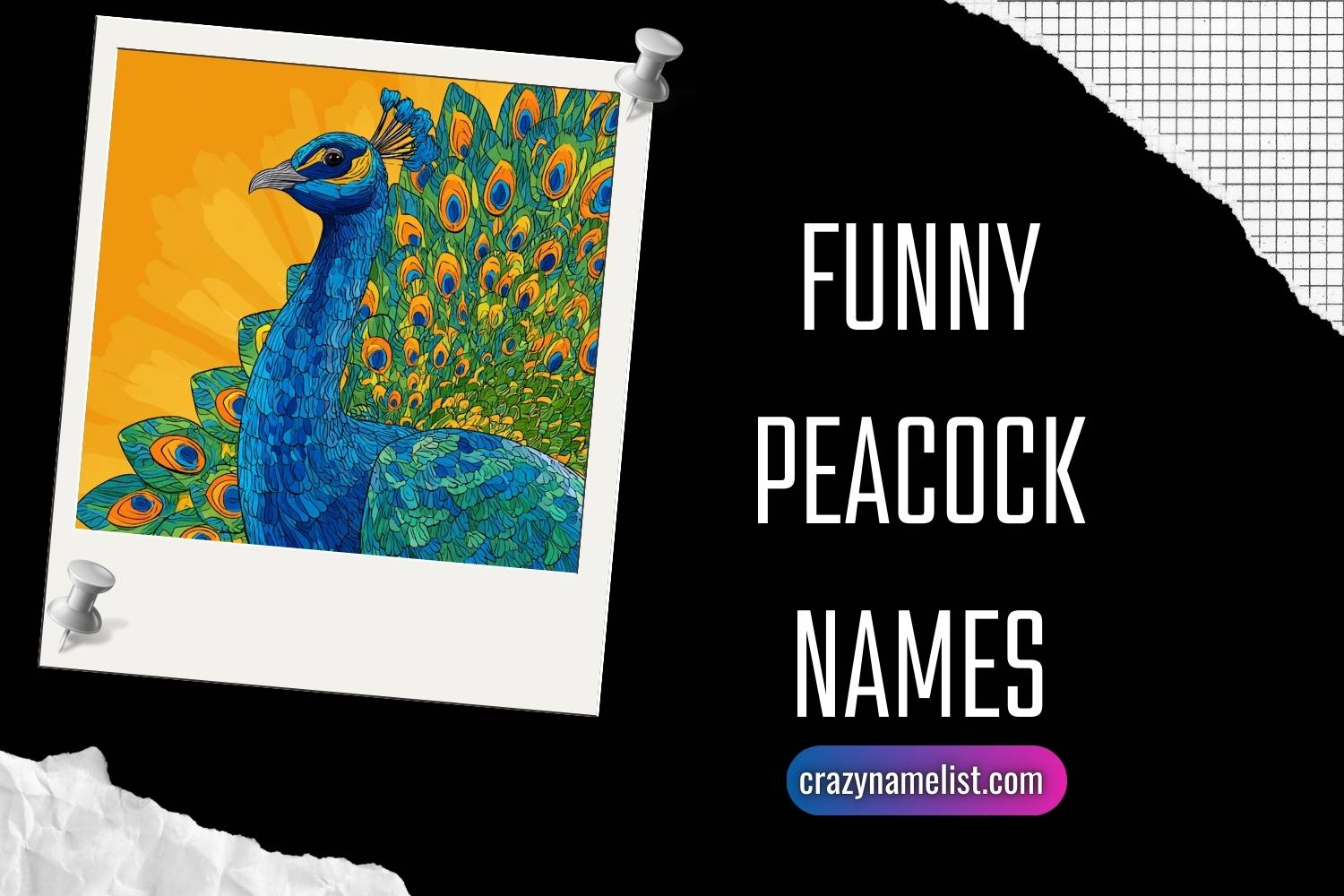 funny peacock names