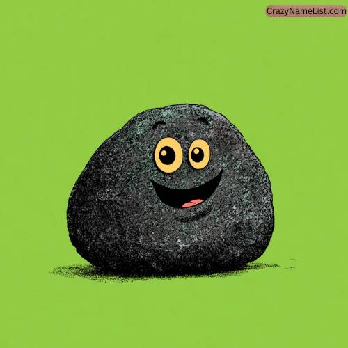 Best Pet Rock Name Ideas