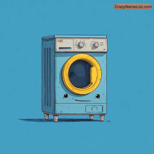 Clever Washing Machine Names