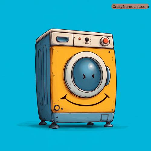 Cool Washing Machine Names