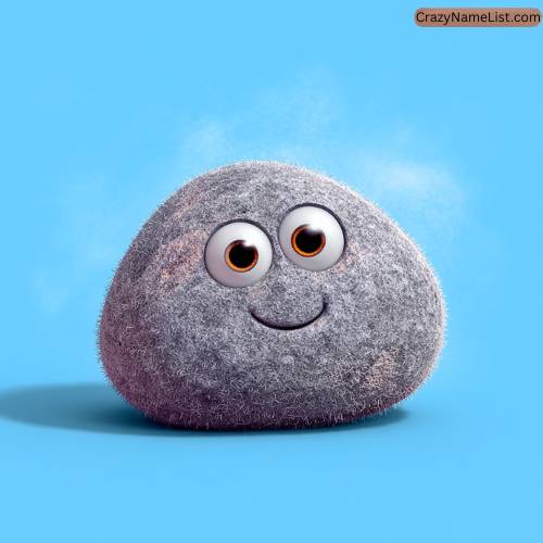 Cute Names for Pet Rocks