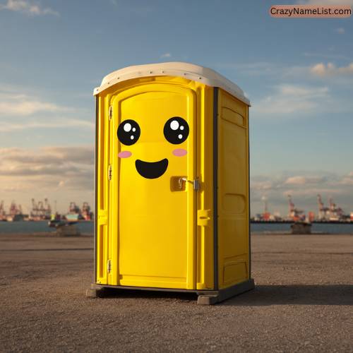 Cute Names for Portable Toilets