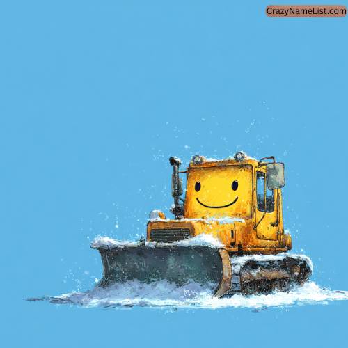 Cute Snow Plow Names