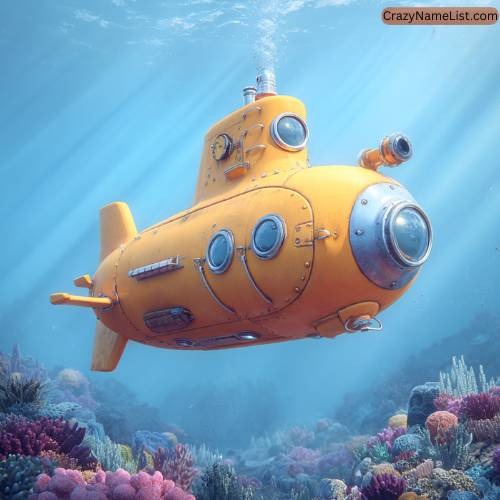 Silly Submarine Names