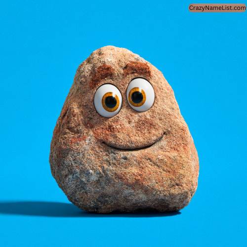 funny pet rock names