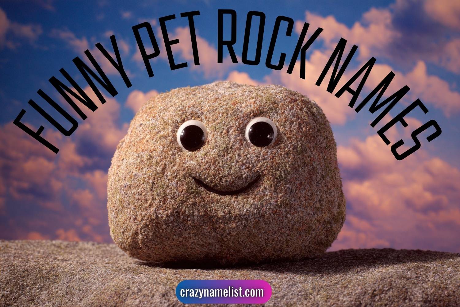 funny pet rock names