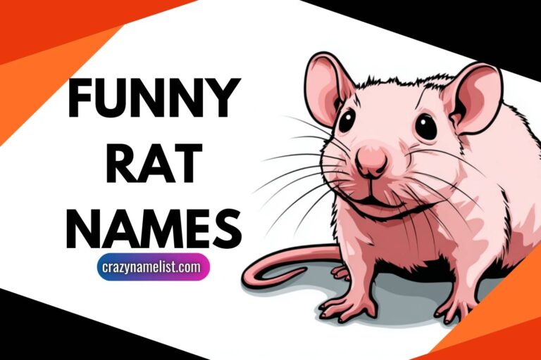 funny rat names