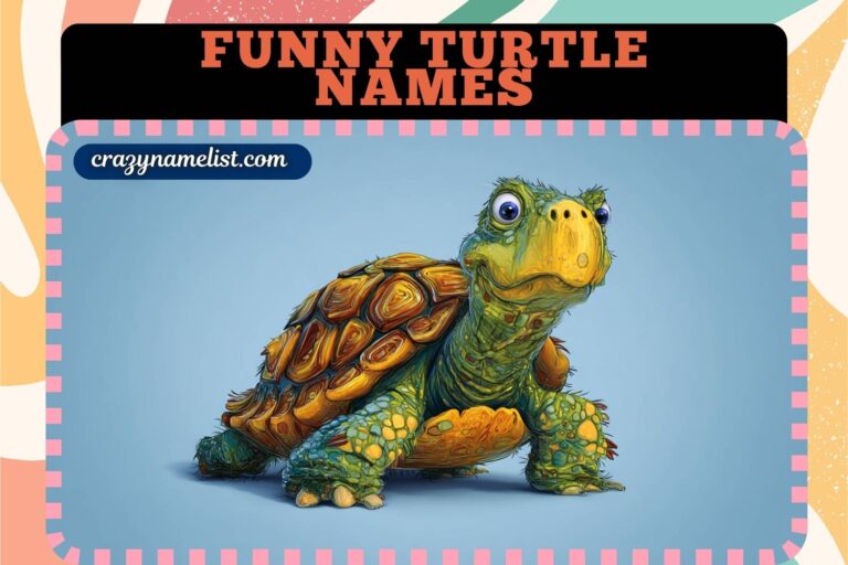 funny turtle names