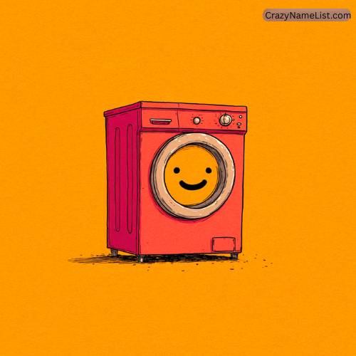 funny washing machine names