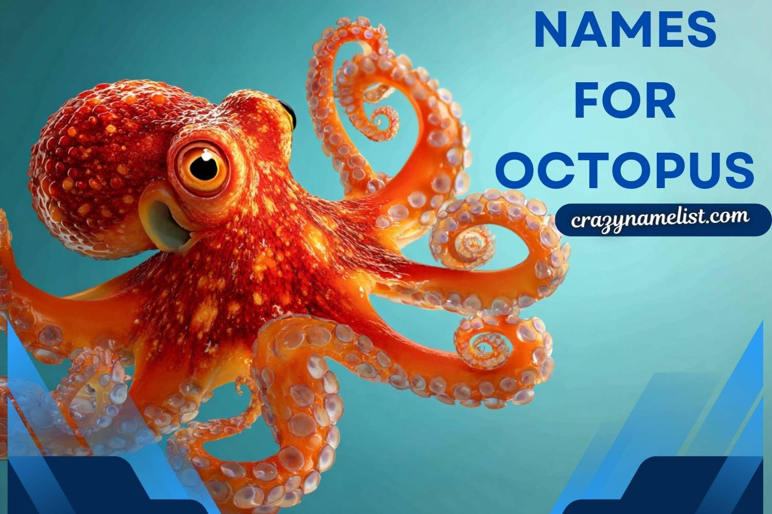names for octopus